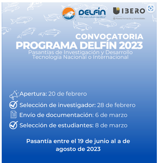 Imagen1-noticia-en-que-consiste-el-programa-delfin-del-que-la-ibero-hace-parte