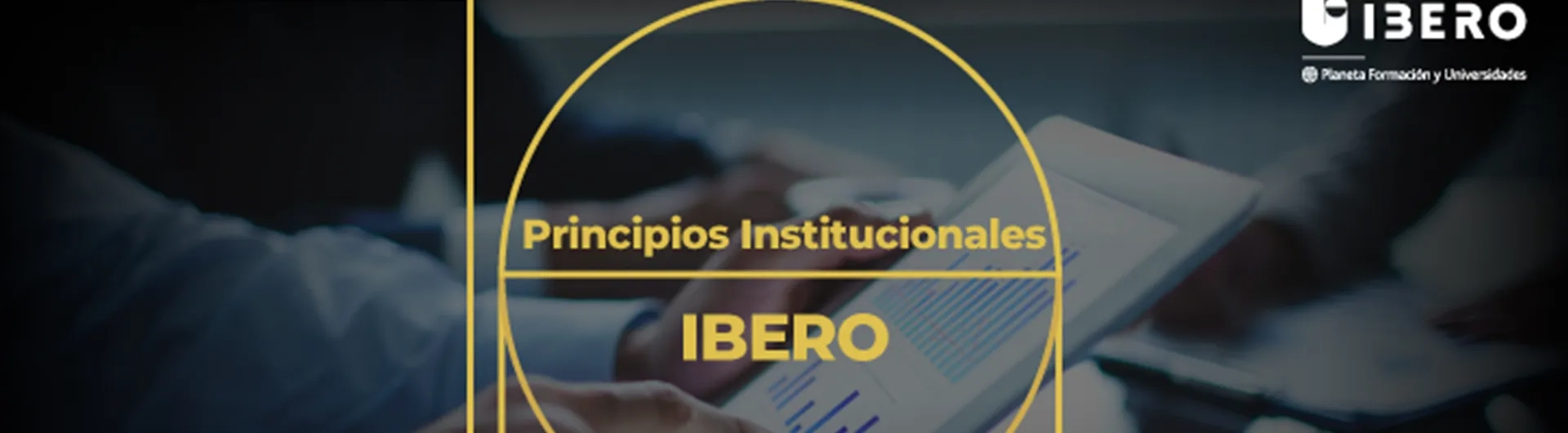 Conoce la ruta a seguir de ciencias empresariales y los principios institucionales
