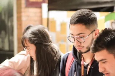 Programas universitarios